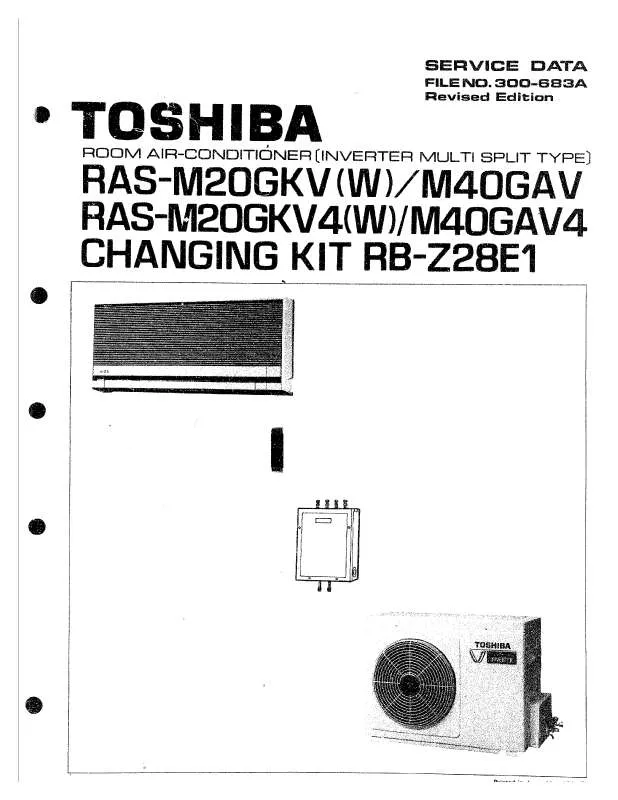 Mode d'emploi TOSHIBA NB300